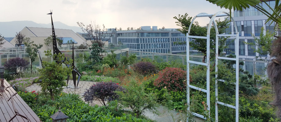 南京萬(wàn)通城市建設設計院弱電系統項目案例。